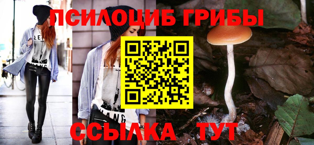 Псилоцибиновые грибы мицелий Мирный