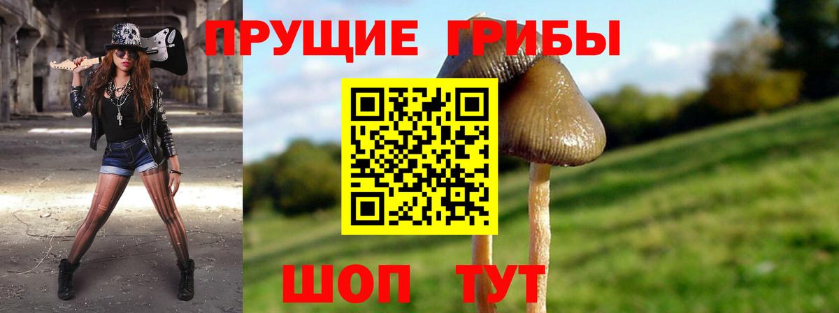 Галлюциногенные грибы мухоморы  Галлюциногенные грибы Psilocybine cubensis  Вход с VPN  Мирный 